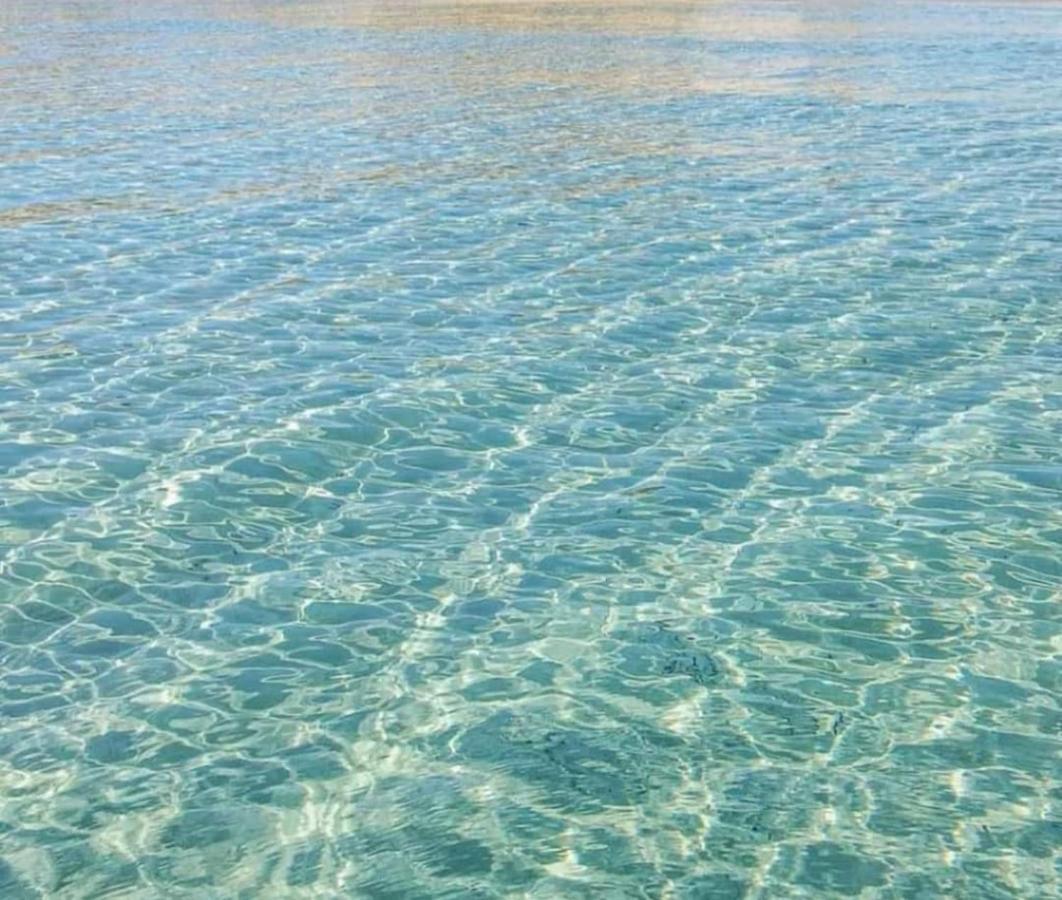Appartamento Lido San Giovanni Gallipoli Ngoại thất bức ảnh